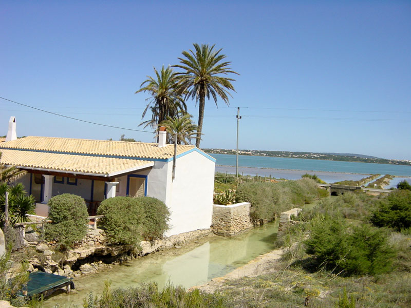 Formentera045