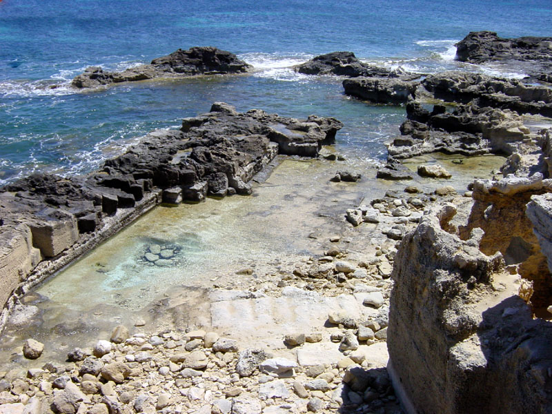 ibiza16