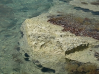 Zakynthos_75