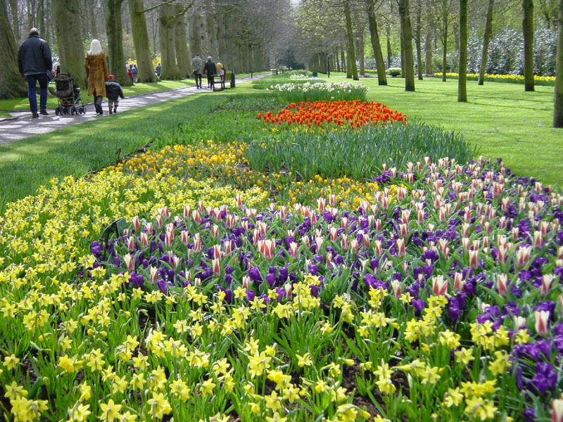 keukenhof_683