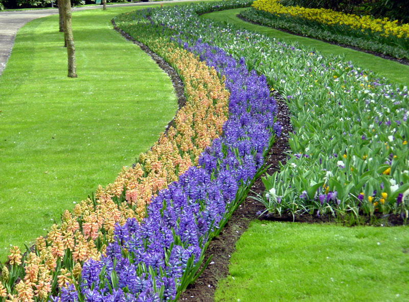 keukenhof_688