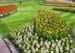 keukenhof_685