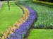 keukenhof_688