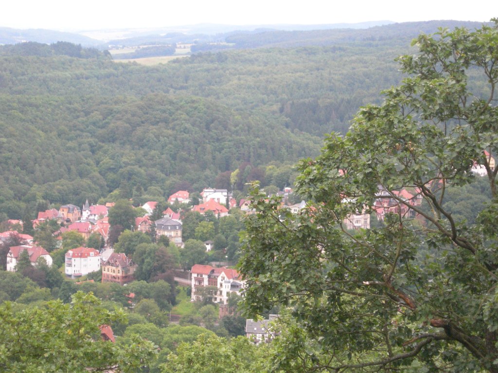 Wartburg-Eisenach-4720