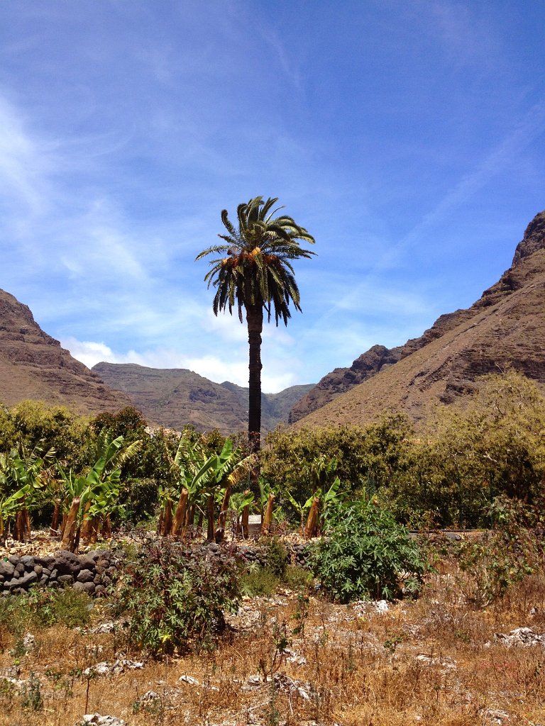 La Gomera 2015-808