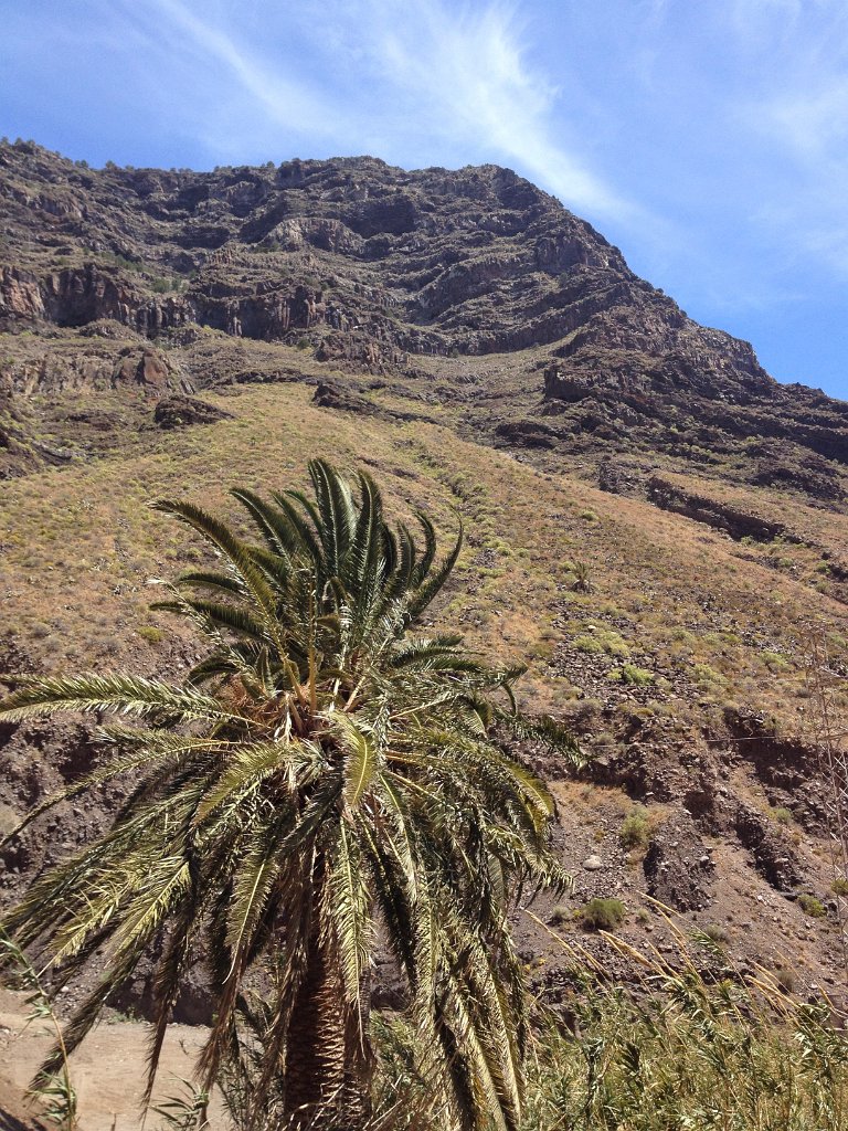 La Gomera 2015-809