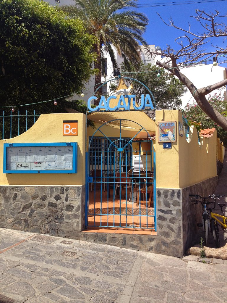 La Gomera 2015-826