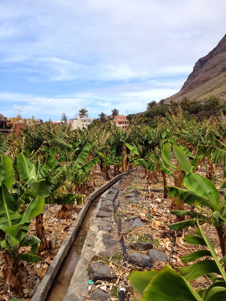 La Gomera 2015-876