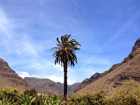 La_Gomera_2015-808.JPG