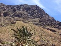 La_Gomera_2015-809.JPG