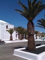 Lanzarote15