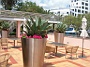 Funchal_12