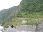 Madeira_Nord-Ost_039