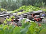 Madeira_Nord-Ost_045