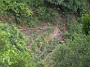 Madeira_Nord-Ost_053