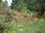 Madeira_Nord-Ost_056