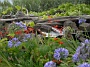 Madeira_Nord-Ost_057