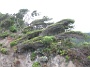 Madeira_Nord-Ost_061