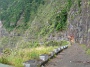 Madeira_Nord-Ost_062