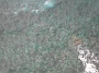 Madeira_Nord-Ost_066