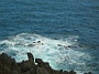 Madeira_Nord-Ost_188