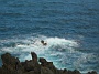 Madeira_Nord-Ost_191