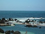 Madeira_Nord-Ost_221