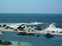 Madeira_Nord-Ost_223