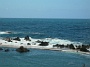 Madeira_Nord-Ost_228