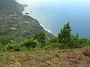 Madeira_Nord-Ost_254