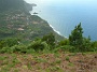 Madeira_Nord-Ost_255