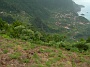 Madeira_Nord-Ost_258