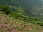 Madeira_Nord-Ost_259