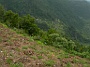 Madeira_Nord-Ost_260