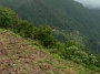 Madeira_Nord-Ost_261