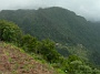 Madeira_Nord-Ost_262