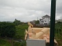 Madeira_Nord-Ost_268