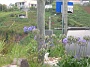 Madeira_Nord-Ost_287