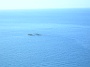 Madeira_Sued-west439