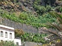 Madeira_Sued-west447