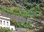 Madeira_Sued-west448