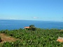 Madeira_Sued-west544