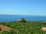Madeira_Sued-west545
