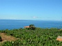 Madeira_Sued-west547