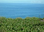 Madeira_Sued-west556