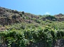 Madeira_Sued-west557