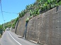 Madeira_Sued-west558