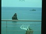 Melia_Madeira_Mare_335
