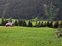 Tirol-Tux_11.jpg