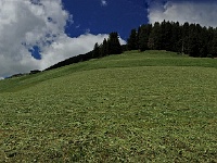 Tirol-Tux_17.jpg